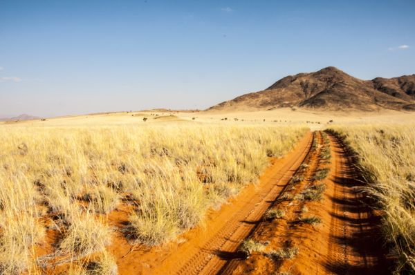 landschap, natuur, zand, horizon, wildernis, veld-