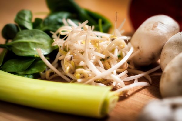 plante, plat, table, bois, blanc, feuille