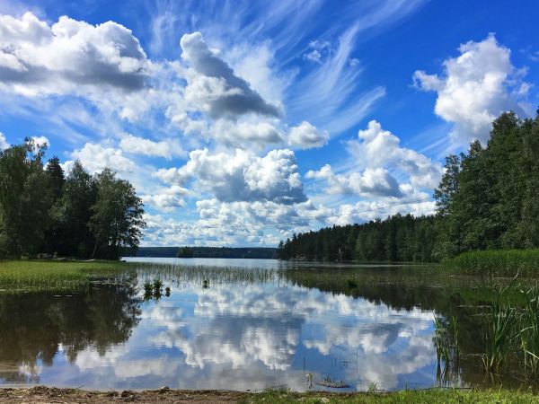 landscape, tree, water, nature, forest, wilderness