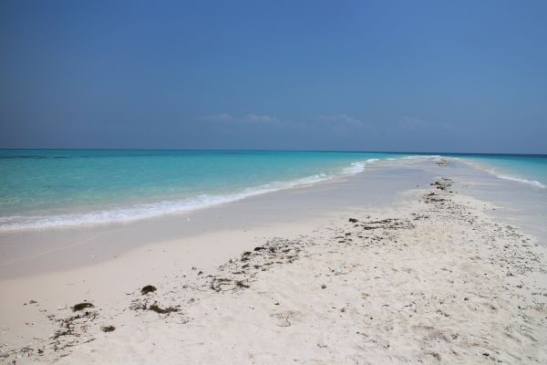 strand, zee, kust, water, zand, oceaan