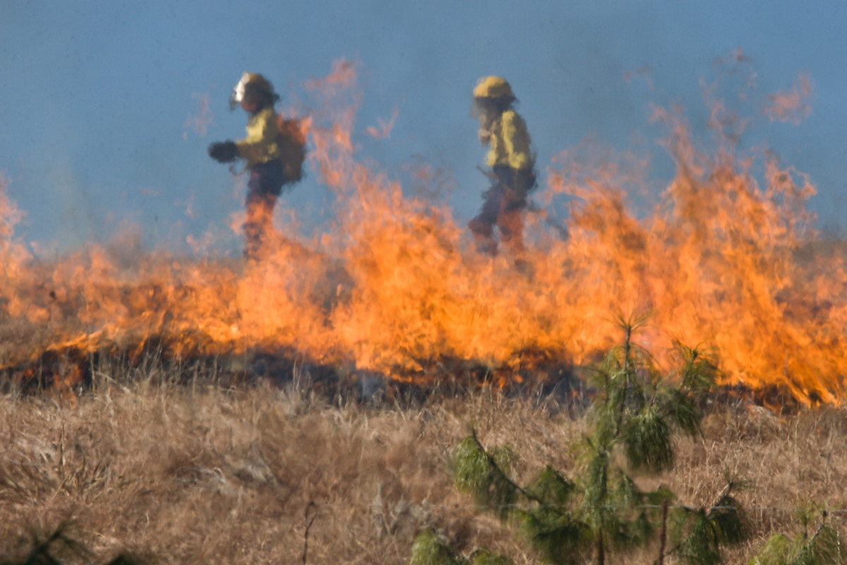 herbe, ciel, champ, prairie, fumée, environnement, flamme, Feu, chaleur, enfer, savane, écologie, brûler, prairie, danger, sécurité, flamber, destruction, dommage, risque, Écosystème, urgence, pompier, pompier, incendies, steppe, Lutte contre les incendies, feu de brousse, Feu d'herbe, Famille d'herbe, Phénomène géologique, Écorégion, Arbrisseau, Communauté végétale