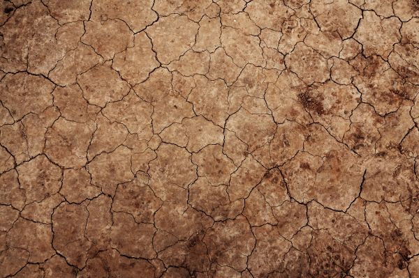 nature,ground,texture,arid,desert,floor