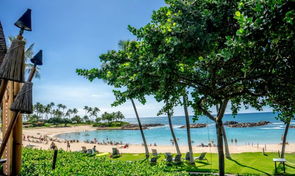 beach, landscape, sea, coast, tree, water