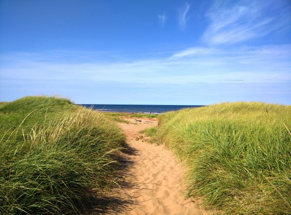 strand, landskab, hav, kyst, natur, græs