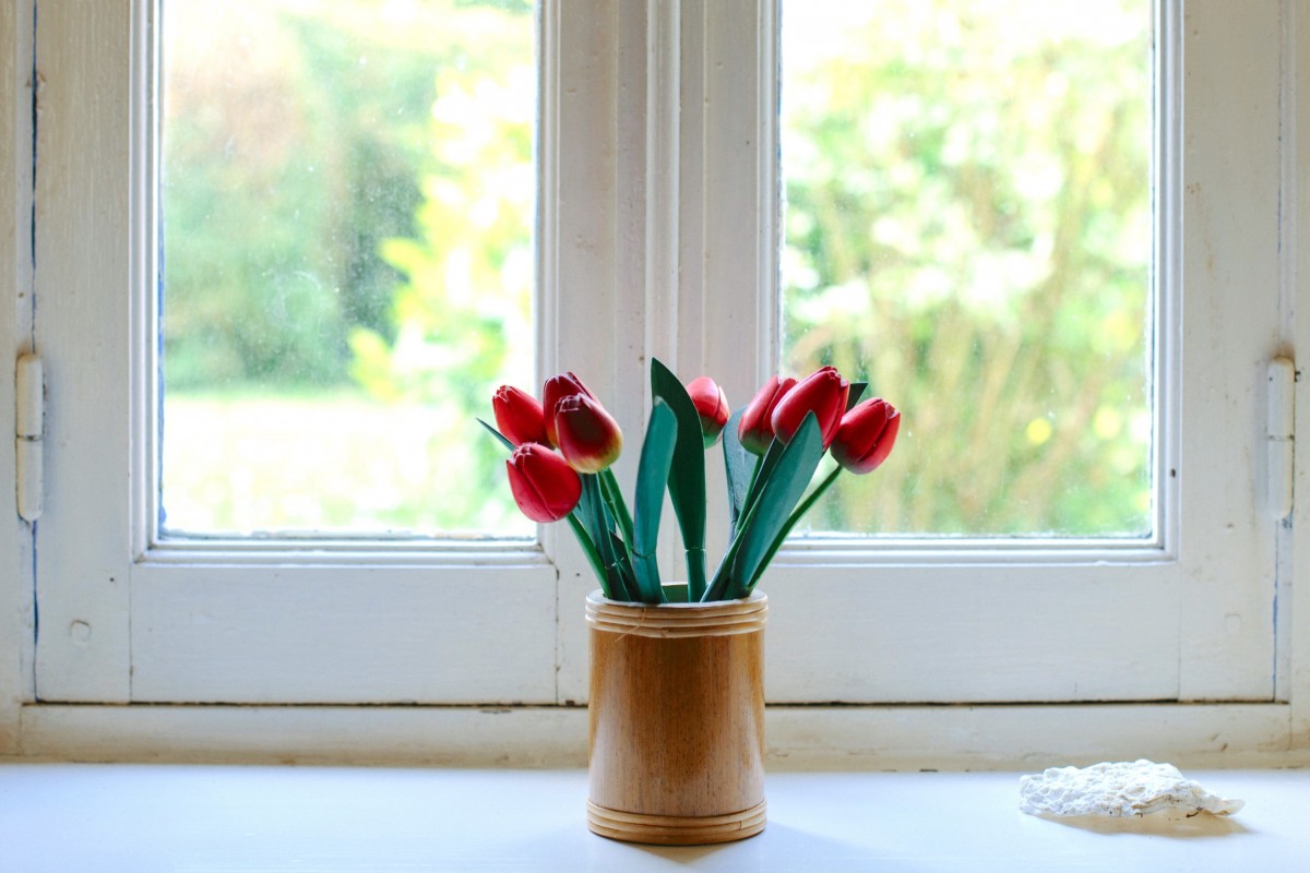 mesa, plantar, madeira, branco, flor, janela, vidro, casa, tulipa, vaso, Primavera, verde, vermelho, quarto, iluminação, design de interiores, moldura da janela, vaso de flores, Florística, Planta de florescência, Cobertura de janela