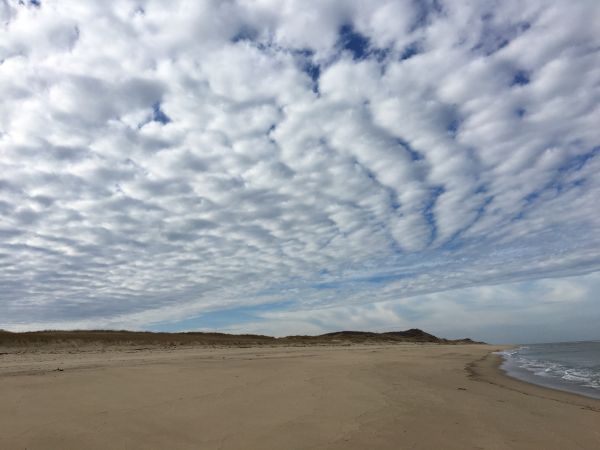 море,крайбрежие,вода,плаж,пясък,океан