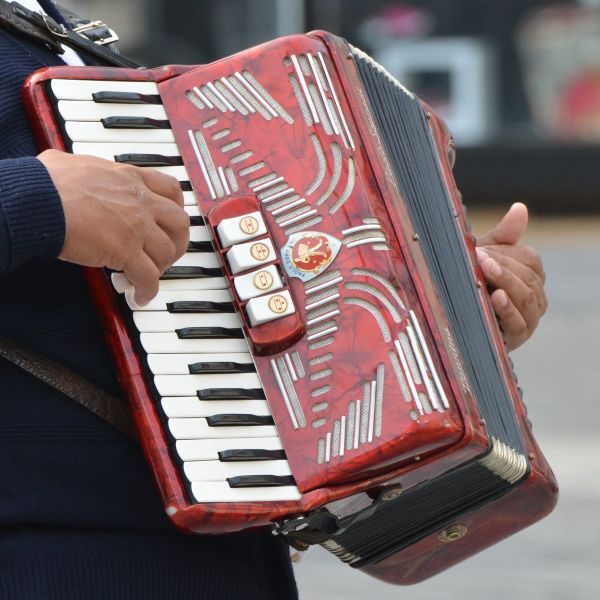 muzyka,grać,czerwony,instrument,instrument muzyczny,ręce