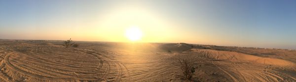 paysage, le sable, horizon, lever du soleil, champ, prairie