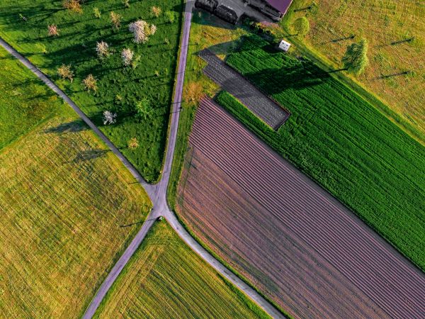 herbe,route,plante,champ,pelouse,campagne