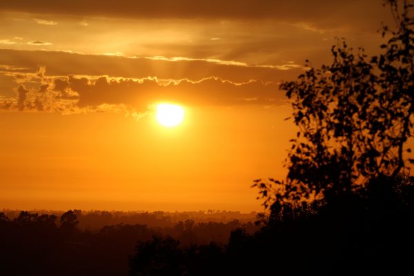 Natur, Horizont, Silhouette, Wolke, Himmel, Sonne