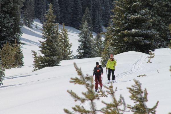 性质,山,雪,冬季,车辆,雪鞋