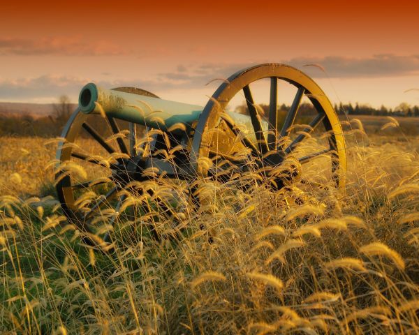 la nature,paysage,herbe,ciel,champ,prairie