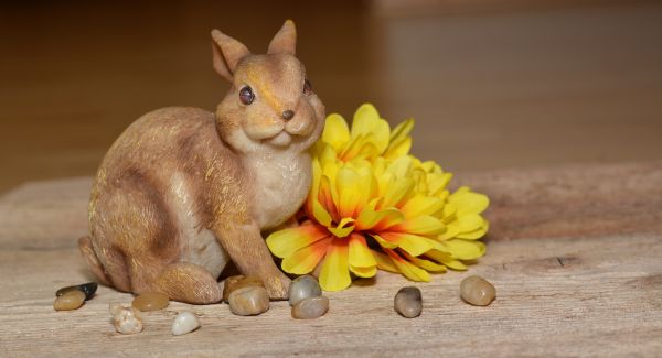 wood,flower,mouse,decoration,spring,kitten