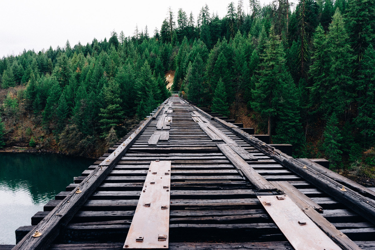 tree, track, railroad, bridge, walkway, suspension bridge, transport, trestle, rolling stock, nonbuilding structure