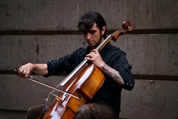 Instrumento de cuerda inclinado, instrumento de cuerda, músico, música, violonchelo, Familia del violín