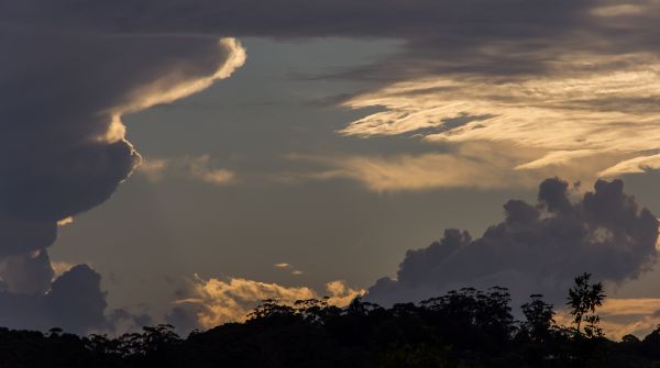 orizzonte, leggero, nube, cielo, tramonto, Alba