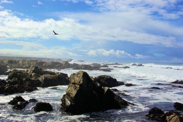 strand, landskap, hav, kust, vatten, natur