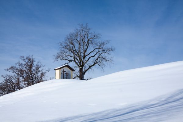 tre,fjell,snø,vinter,Sky,himmel