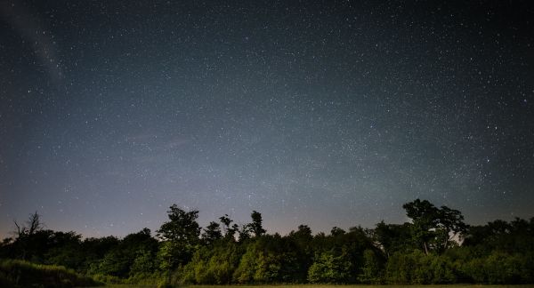 la nature,embrasé,ciel,nuit,étoile,lumière