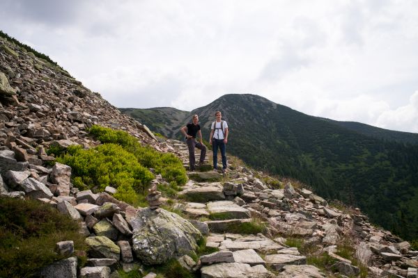 landskap, natur, skog, sti, utendørs, stein