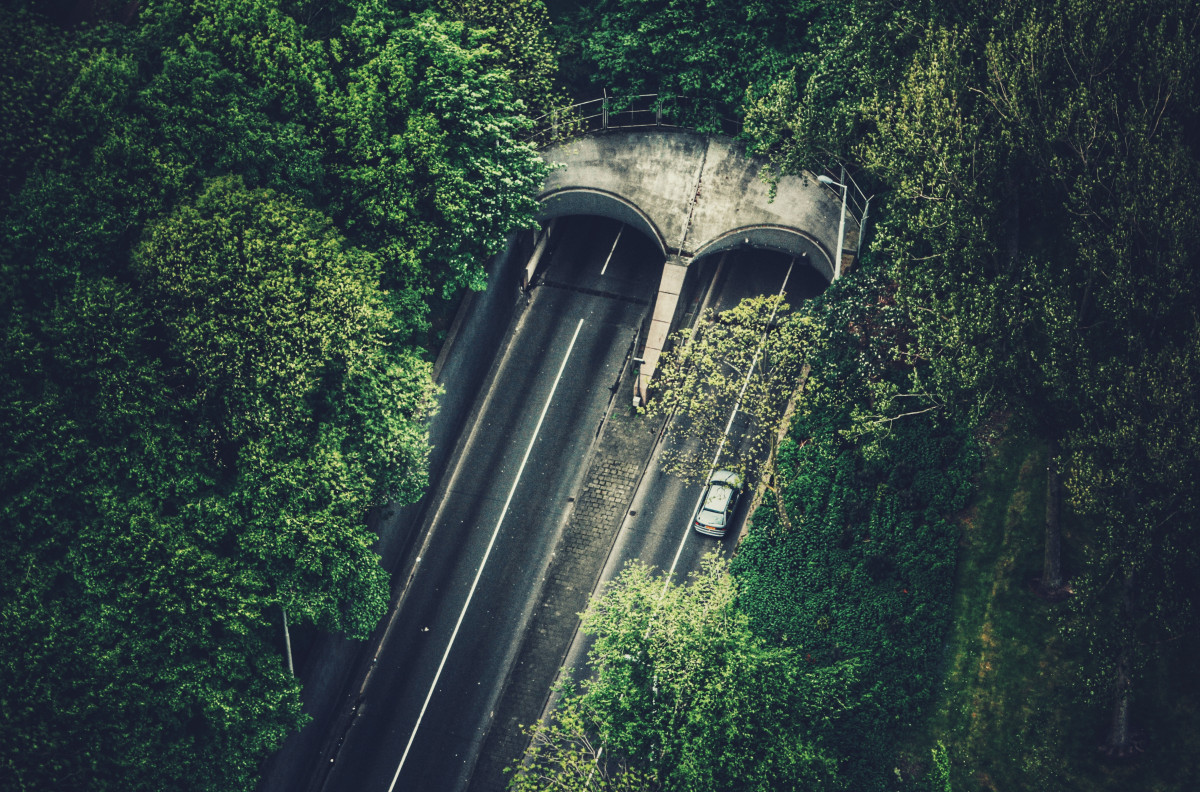 albero, foresta, strada, ponte, auto, tunnel, trasporto, verde, oscurità, infrastruttura, materiale rotabile