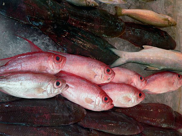 comida, Mariscos, pescado, bajo, único, pescadería