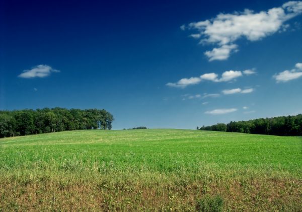 Landschaft,Gras,Horizont,Wolke,Himmel,Natur