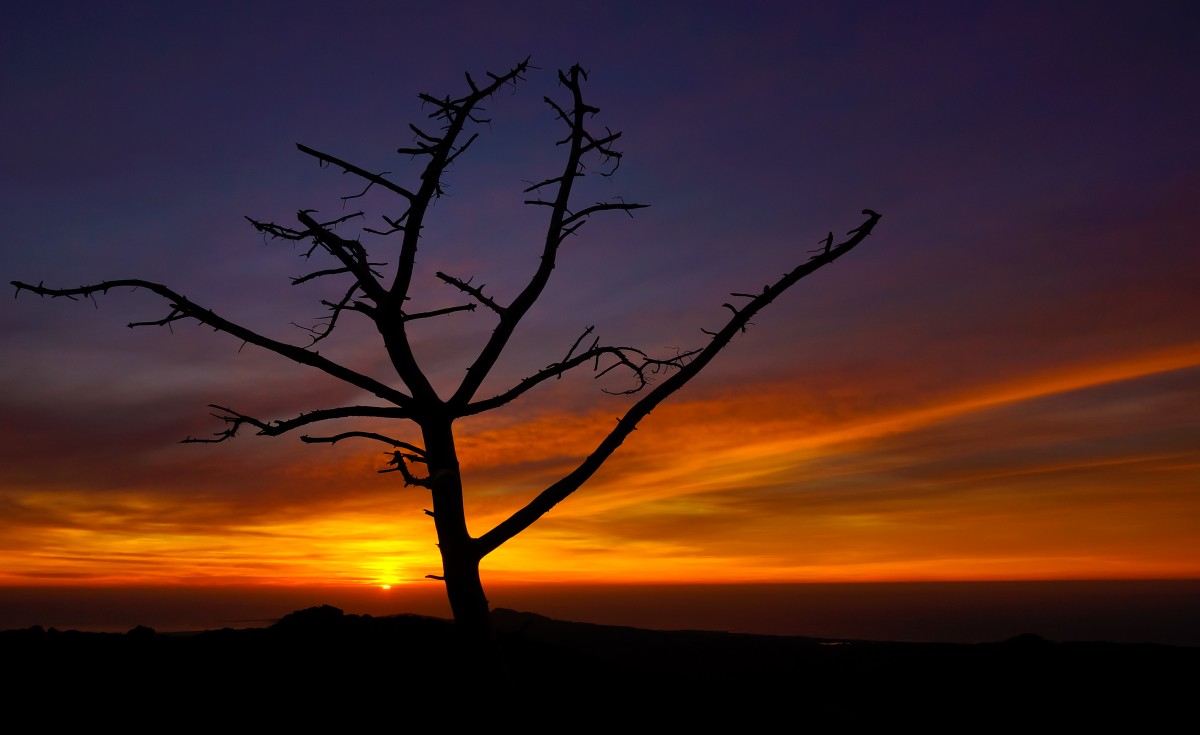 peyzaj, ufuk, bulut, gökyüzü, gündoğumu, gün batımı, sabah, şafak, atmosfer, Fotoğraf, akşam karanlığı, akşam, Vahşi hayvan, ispanya, Puestadesol, Galicia, Paisajes, Akorua, A77, Espana, G, Ggl1, Gaby1, Xovesphoto, Sonya77, Sony16105mm, Grafoto, Gabrielcorua, Xelodegalicia, Gabycorua, Aprobadokaramiyal, Akşam yemeğinden sonra, Sabah kırmızı gökyüzü