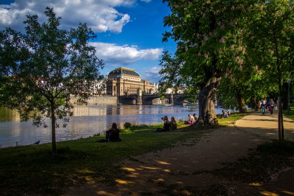 дерево,архитектура,мост,город,город,старый