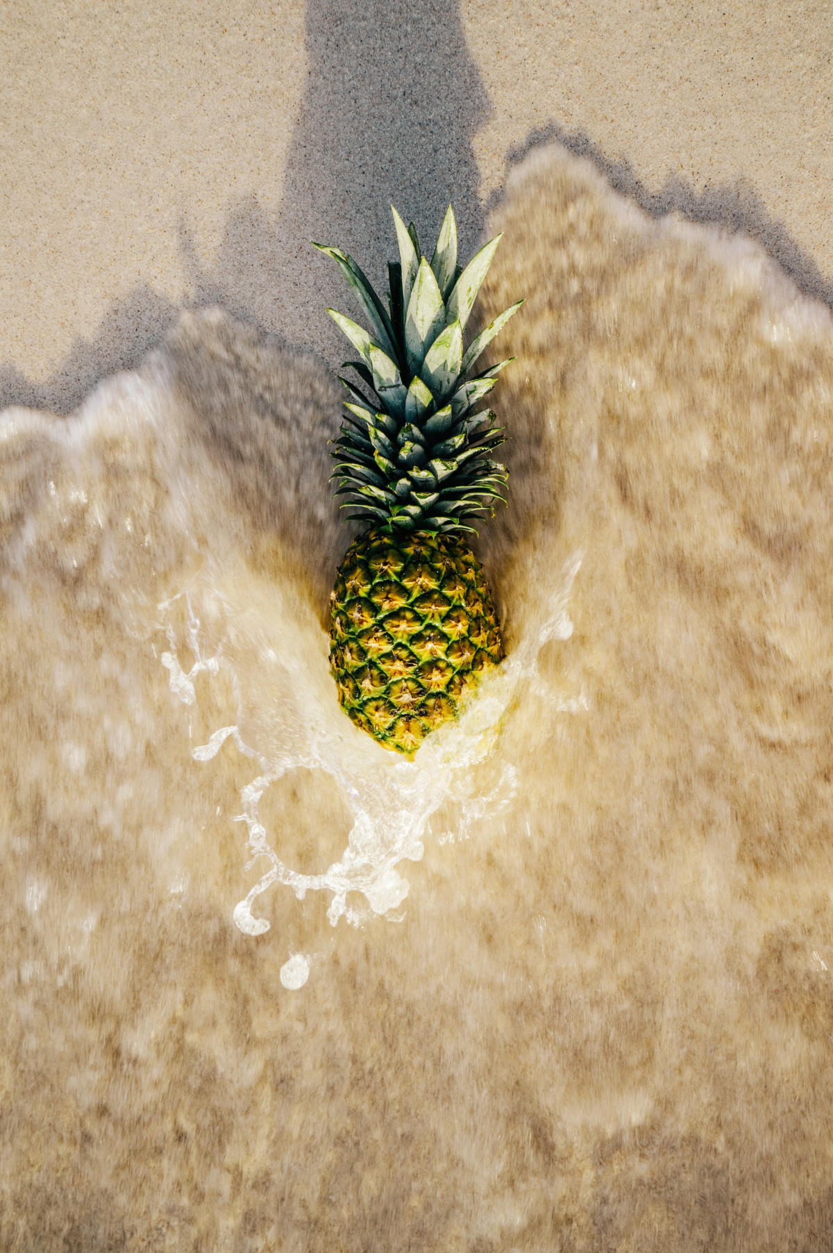 beach, coast, tree, nature, grass, sand, ocean, plant, fruit, sweet, leaf, shore, flower, summer, vacation, seaside, foam, green, relax, paradise, produce, tropical, holiday, fresh, beverage, yellow, leisure, healthy, eat, flora, material, pineapple, plants, freshness, juice, outdoors, waves, foods, refreshment, tart, exotic, enjoy, sour, macro photography, grass family, land plant