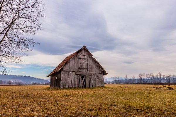 landscape,tree,mountain,sky,field,farm