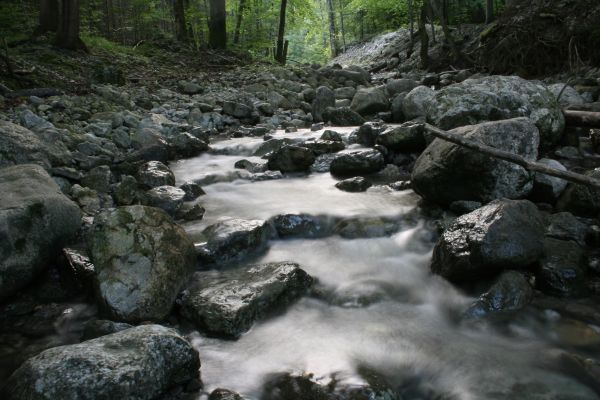 landscape,water,nature,forest,rock,creek