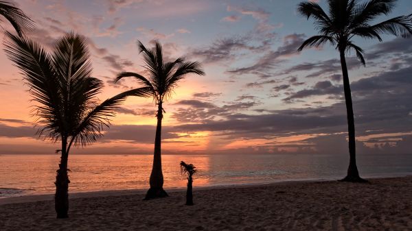 Strand,Landschaft,Meer,Küste,Baum,Wasser