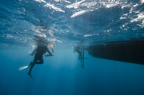 sea, water, ocean, wave, diving, boot