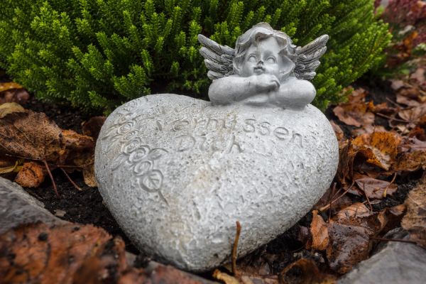 árbol,rock,piedra,Monumento,estatua,amor