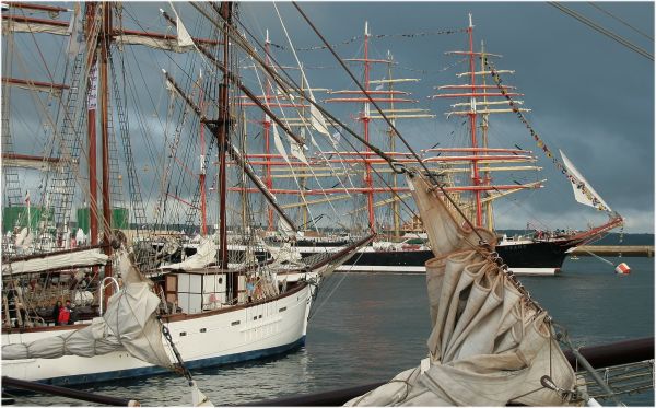 båt,skip,kjøretøy,Brygge,mast,havn