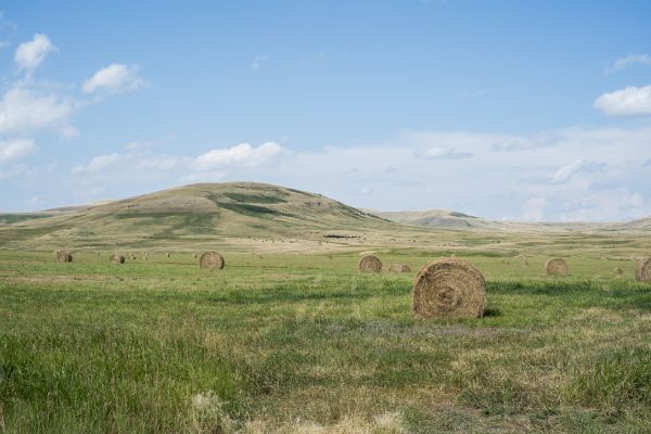 tájkép,fű,hegy,széna,mező,szabadtéri