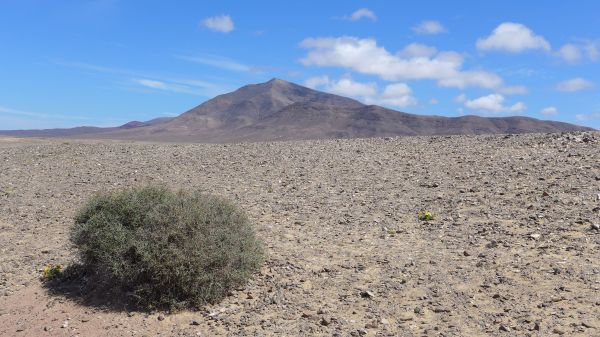 Landschaft, Natur, Wildnis, Berg, Himmel, Meer