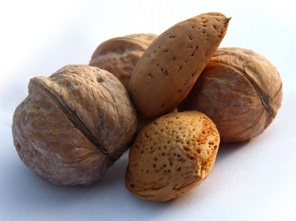 plant, fruit, food, produce, nut, walnut