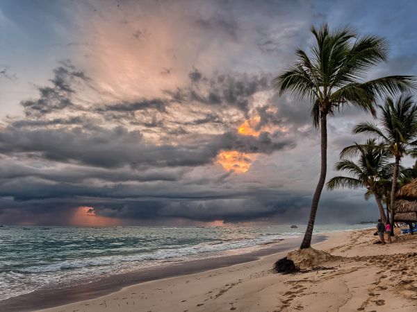 Strand,Meer,Küste,Baum,Sand,Ozean