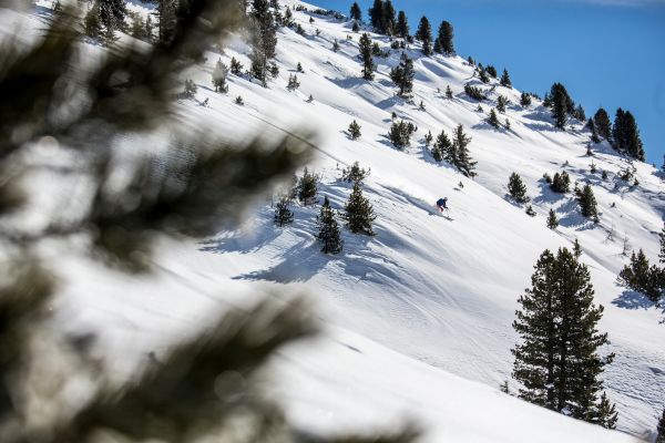 árvore,montanha,neve,inverno,cadeia de montanhas,clima