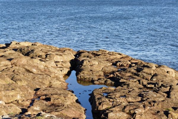 beach,sea,coast,water,nature,sand