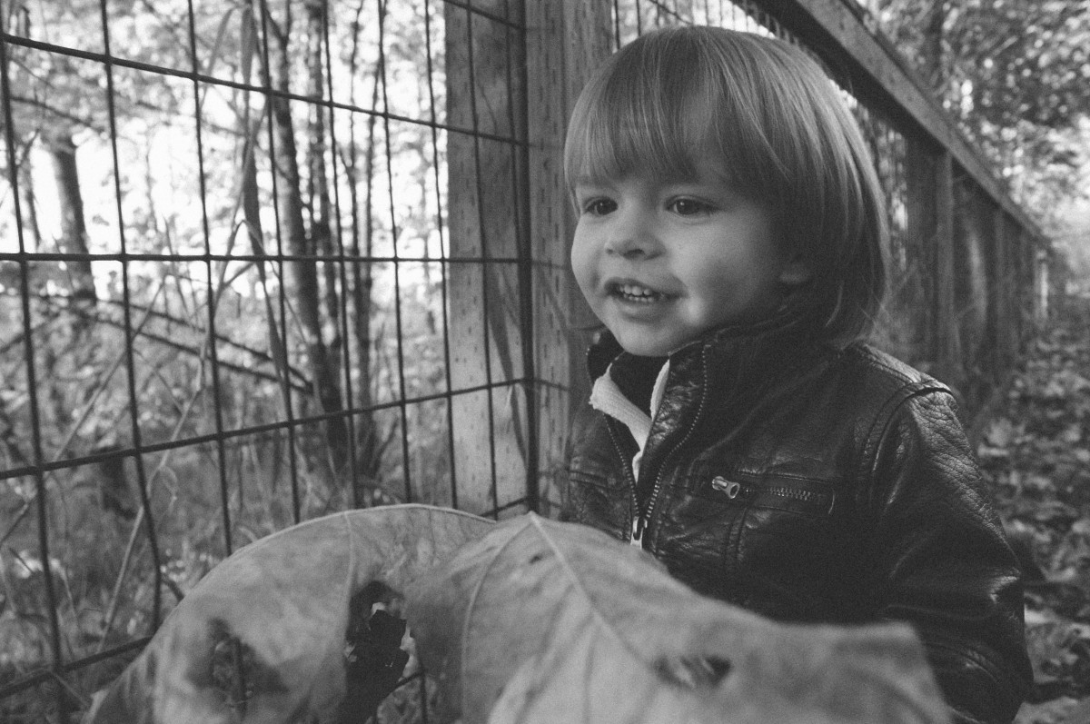 persona, frío, invierno, en blanco y negro, gente, blanco, fotografía, hoja, otoño, chico, niño, linda, retrato, joven, primavera, pequeña, otoño, niño, negro, monocromo, bebé, infancia, temporada, hijo, caucásico, hojas, al aire libre, familia, divertido, contento, felicidad, niñito, pequeño, fotografía, adorable, chaqueta de cuero, niñito, Fotografía monocroma, Fotografía de retrato, Posiciones humanas