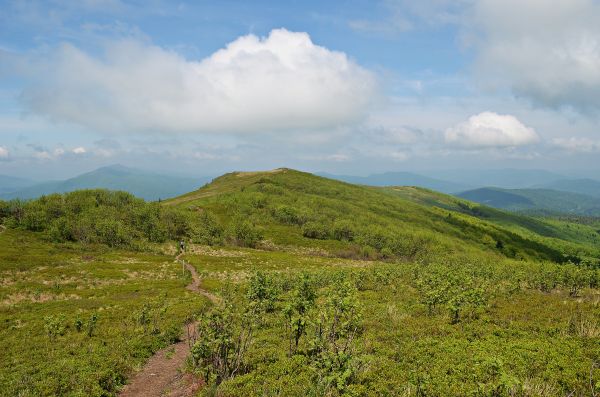 ภูมิประเทศ,ธรรมชาติ,หญ้า,ความเป็นป่า,ที่เดิน,ภูเขา