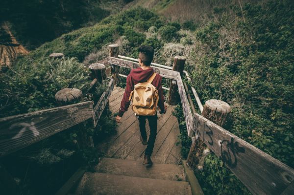 manusia,hutan,jembatan,anak tangga,petualangan,ransel