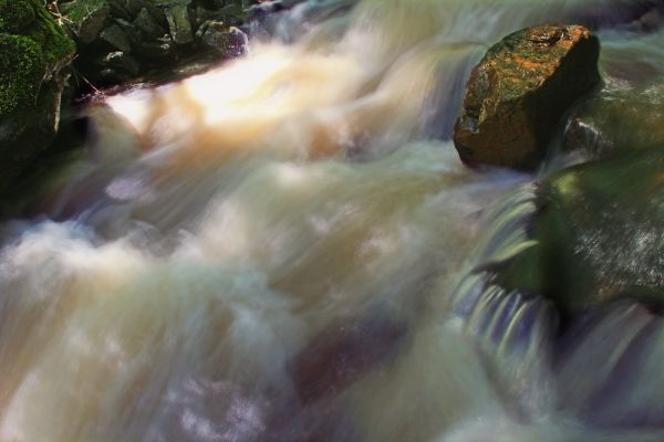 vatten,Vattenfall,bäck,mossa,solljus,sommar