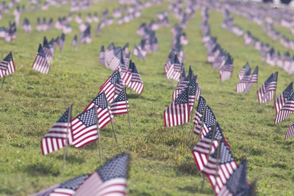 symbol,usa,field,flower,freedom,agriculture