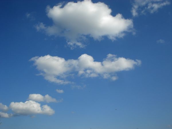 自然,地平線,雲,空,屋外,太陽光