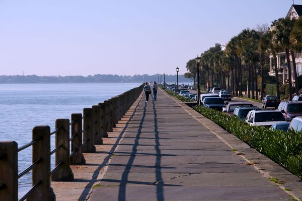 плаж,море,крайбрежие,вода,ходене,дърво