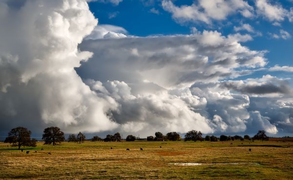 natur,landskap,gress,horisont,Sky,himmel